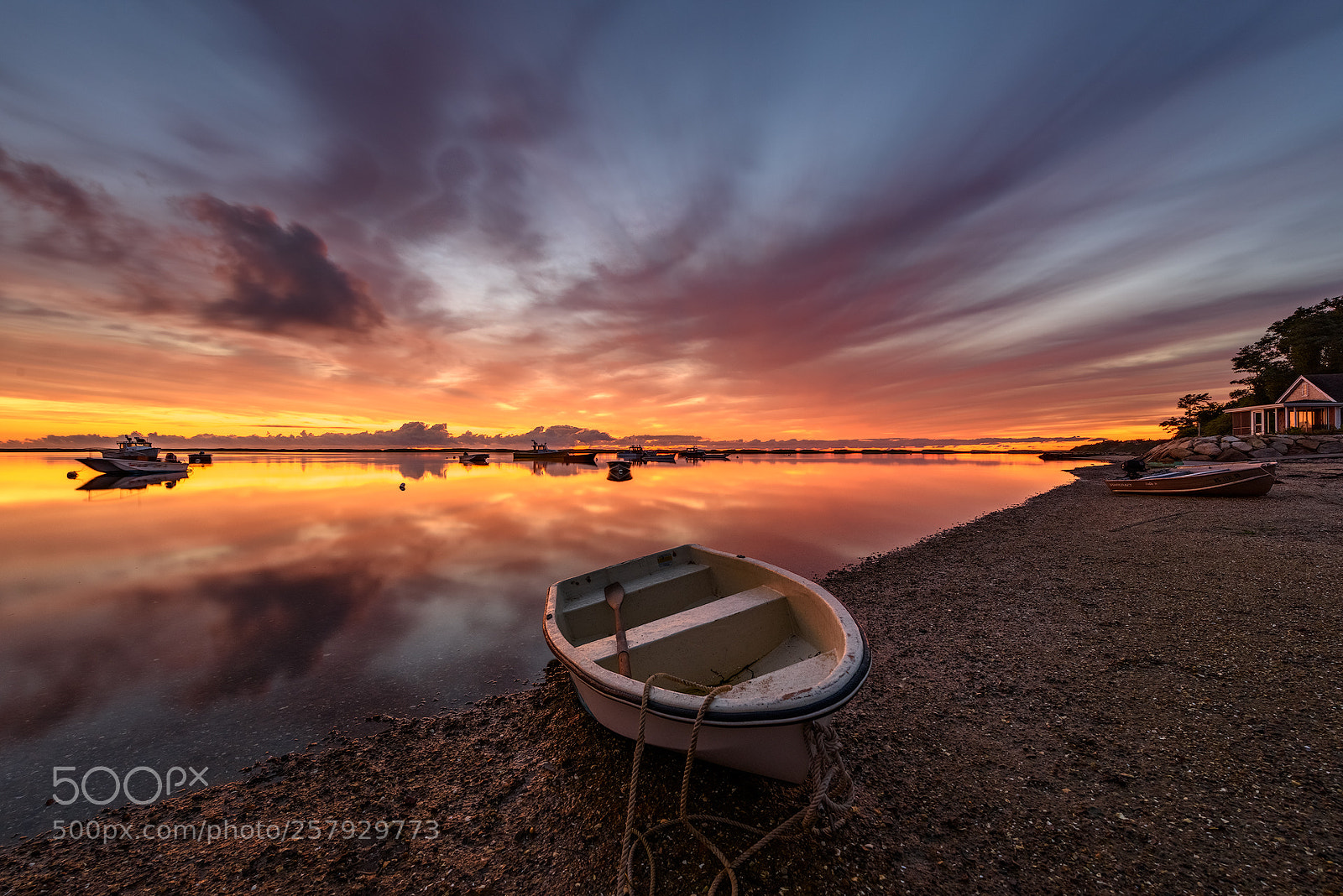 Nikon D810 sample photo. Harbor dawn photography
