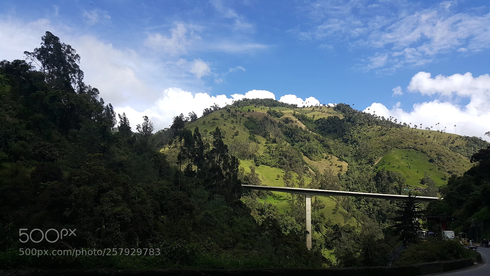 Samsung GALAXY S6 edge sample photo. Quindio photography