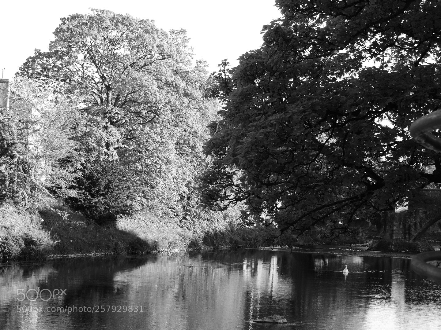 Nikon Coolpix P900 sample photo. B&w kendal  photography