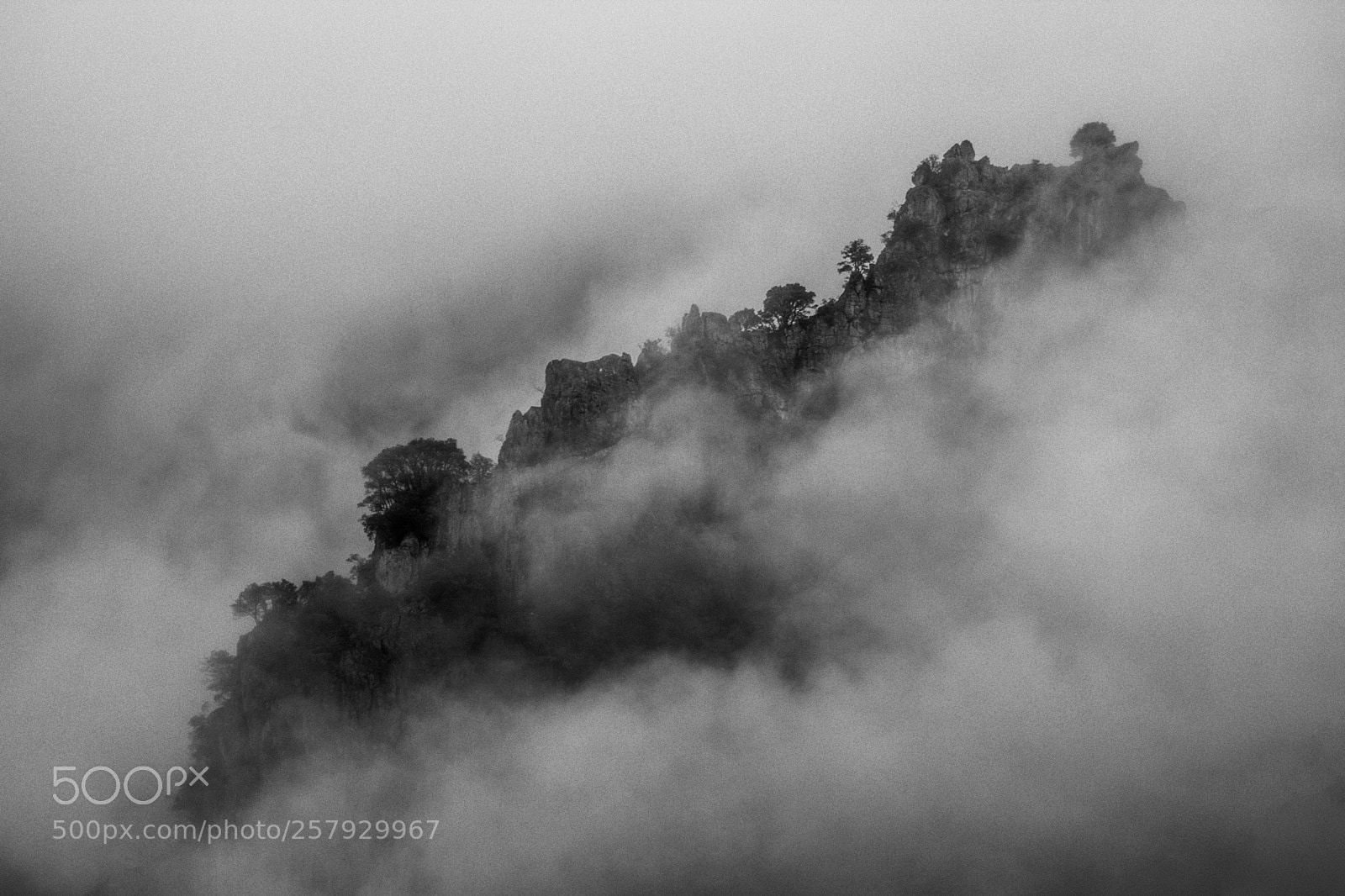 Nikon D3400 sample photo. The beauty fog.  photography