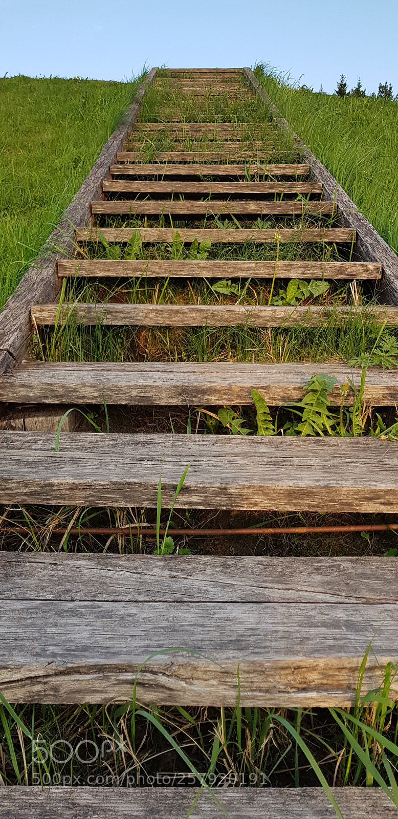 Samsung Galaxy S8 sample photo. Untitled photography