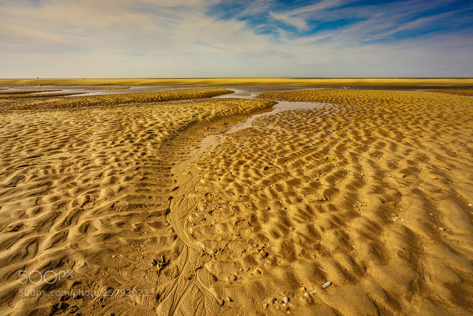 Sony a7R sample photo. Texel beach photography