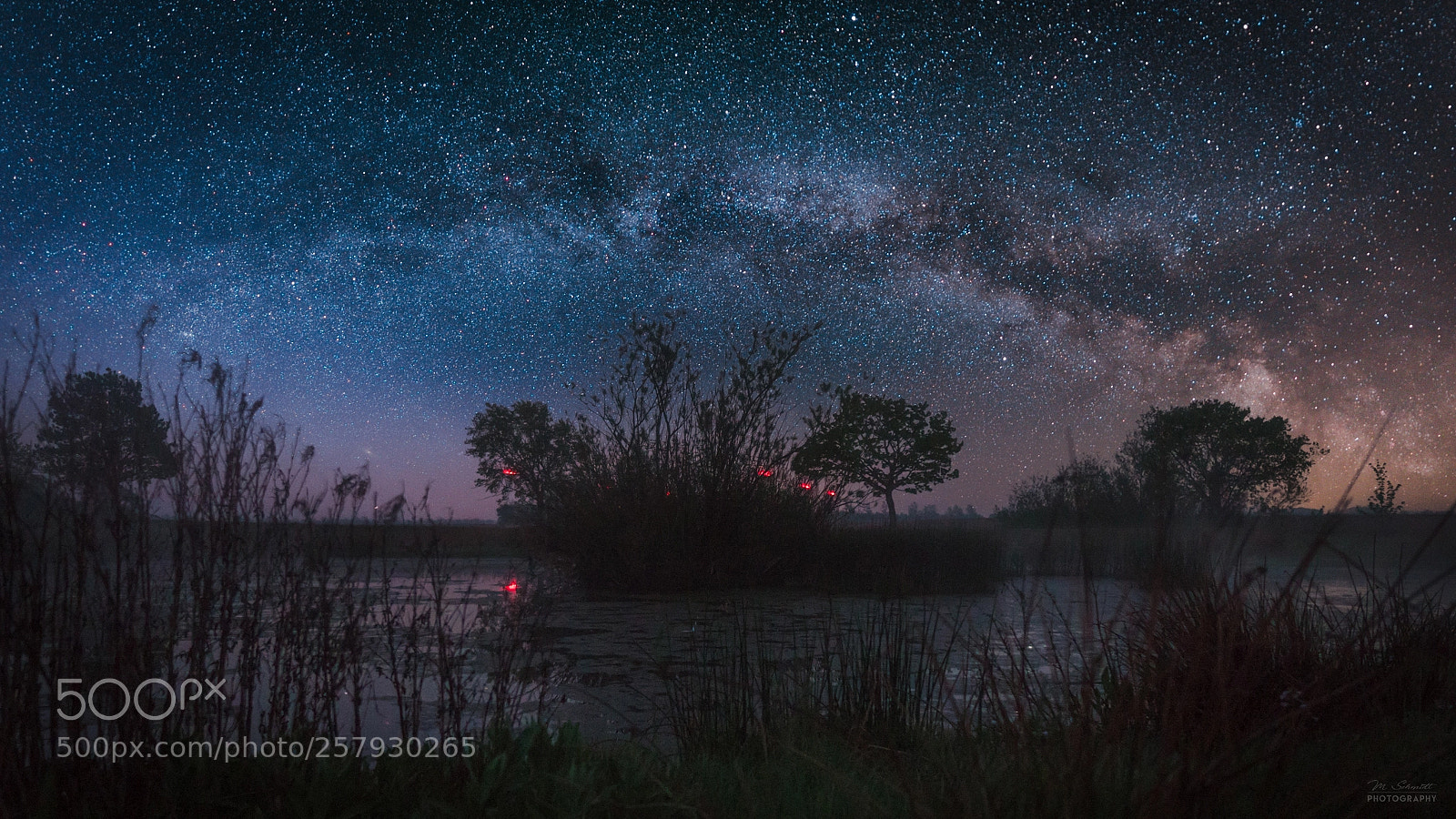 Panasonic Lumix DC-GH5 sample photo. Milky way swamp cylons photography