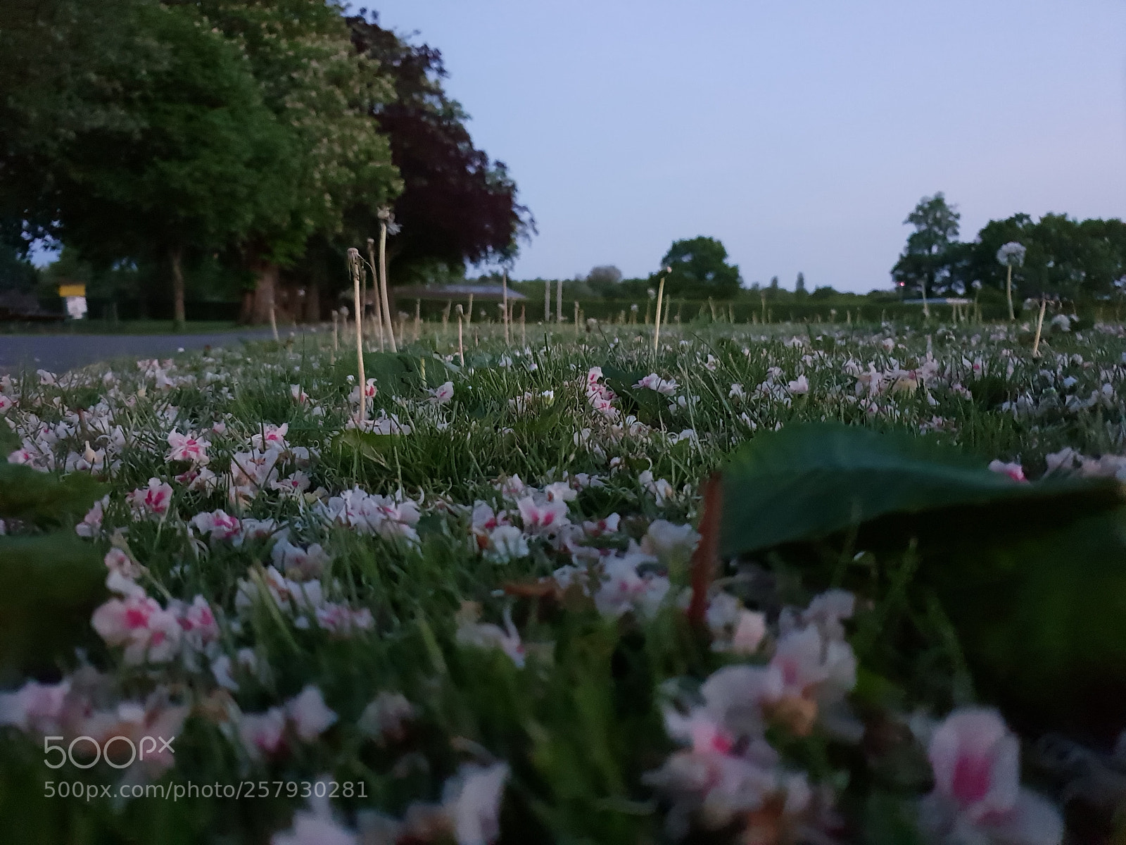 Samsung Galaxy S9 sample photo. Untitled photography