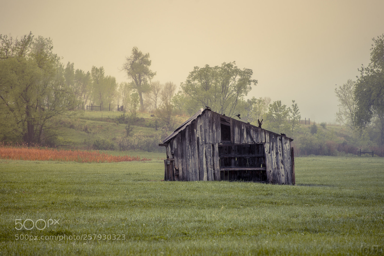 Nikon D610 sample photo. That barn photography