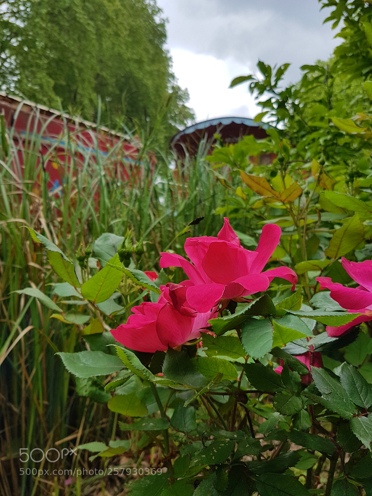 Samsung Galaxy S7 sample photo. Untitled photography