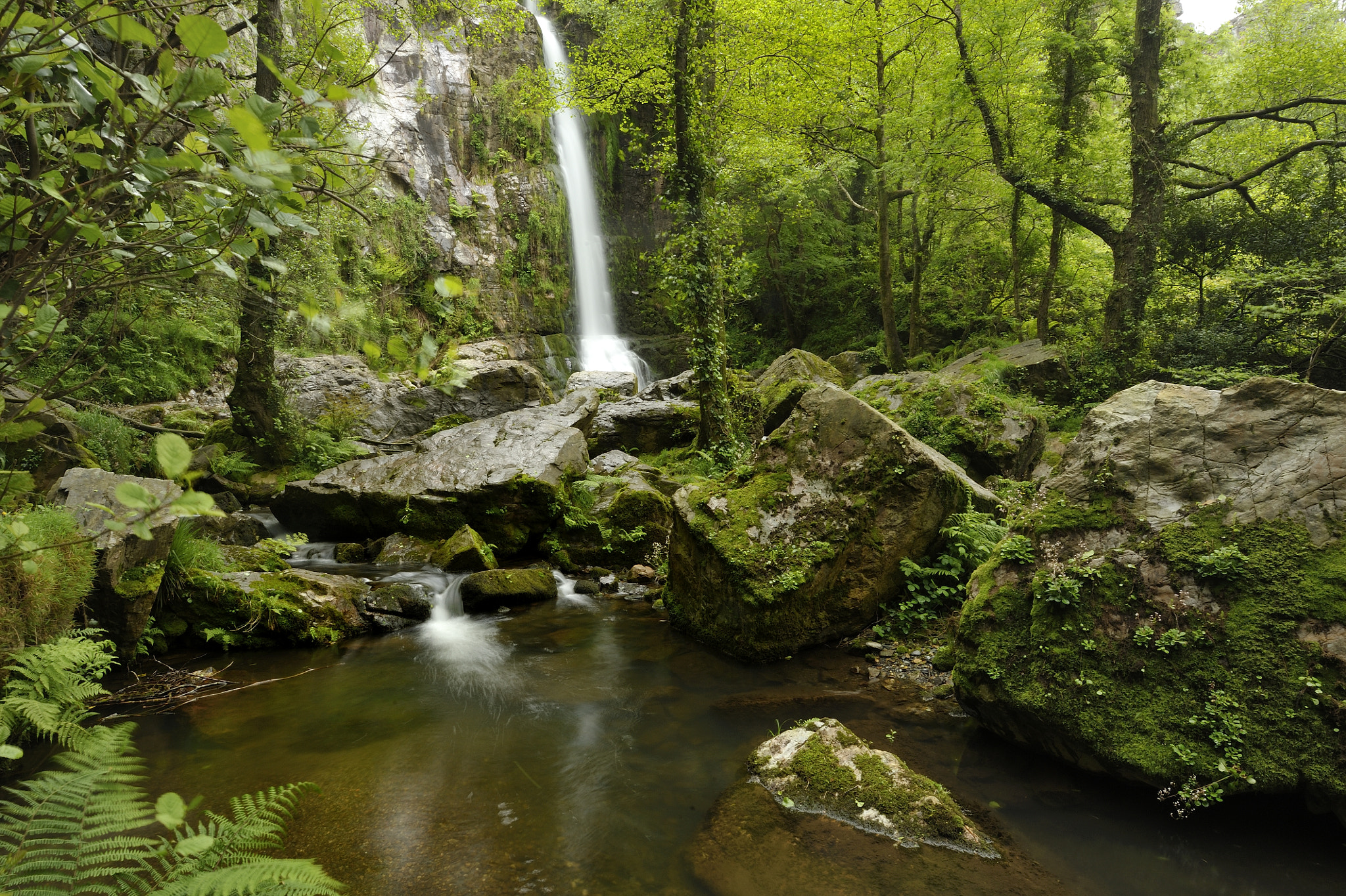 Nikon D700 + Nikon AF-S Nikkor 14-24mm F2.8G ED sample photo. Cascada de oneta en primavera photography