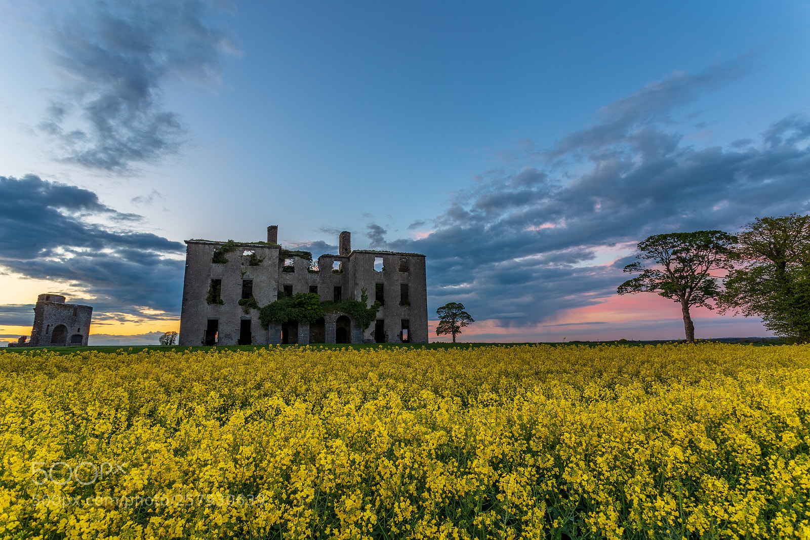 Canon EOS 6D sample photo. Castle and seeds photography