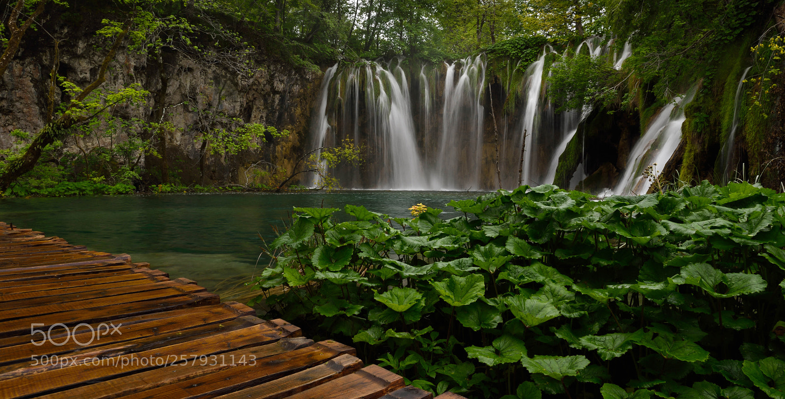 Nikon D750 sample photo. Plitvice 2 photography