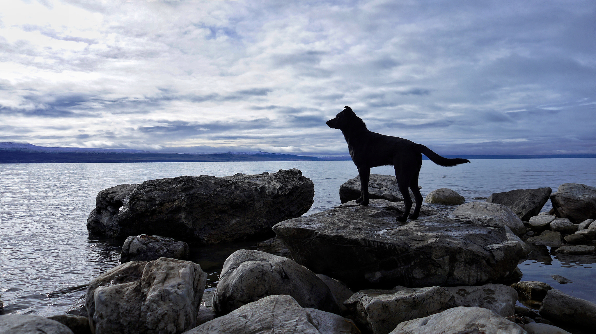 Sony Alpha a3500 sample photo