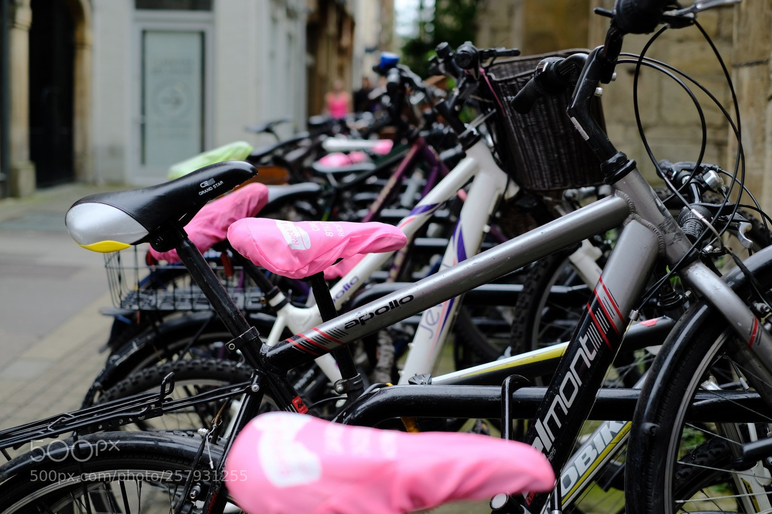 Fujifilm X-T20 sample photo. Pink photography