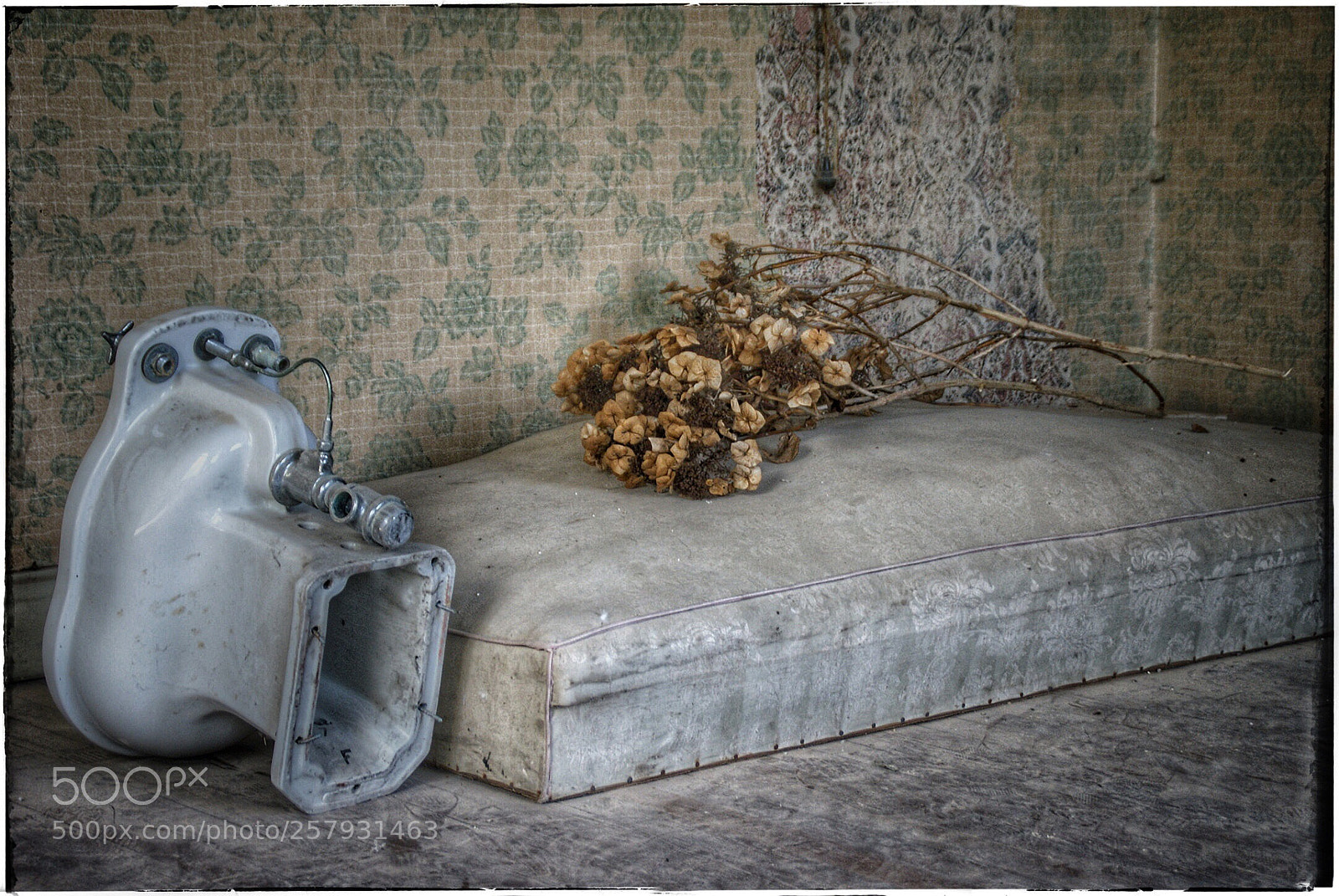 Sony Alpha DSLR-A200 sample photo. Untitled photography