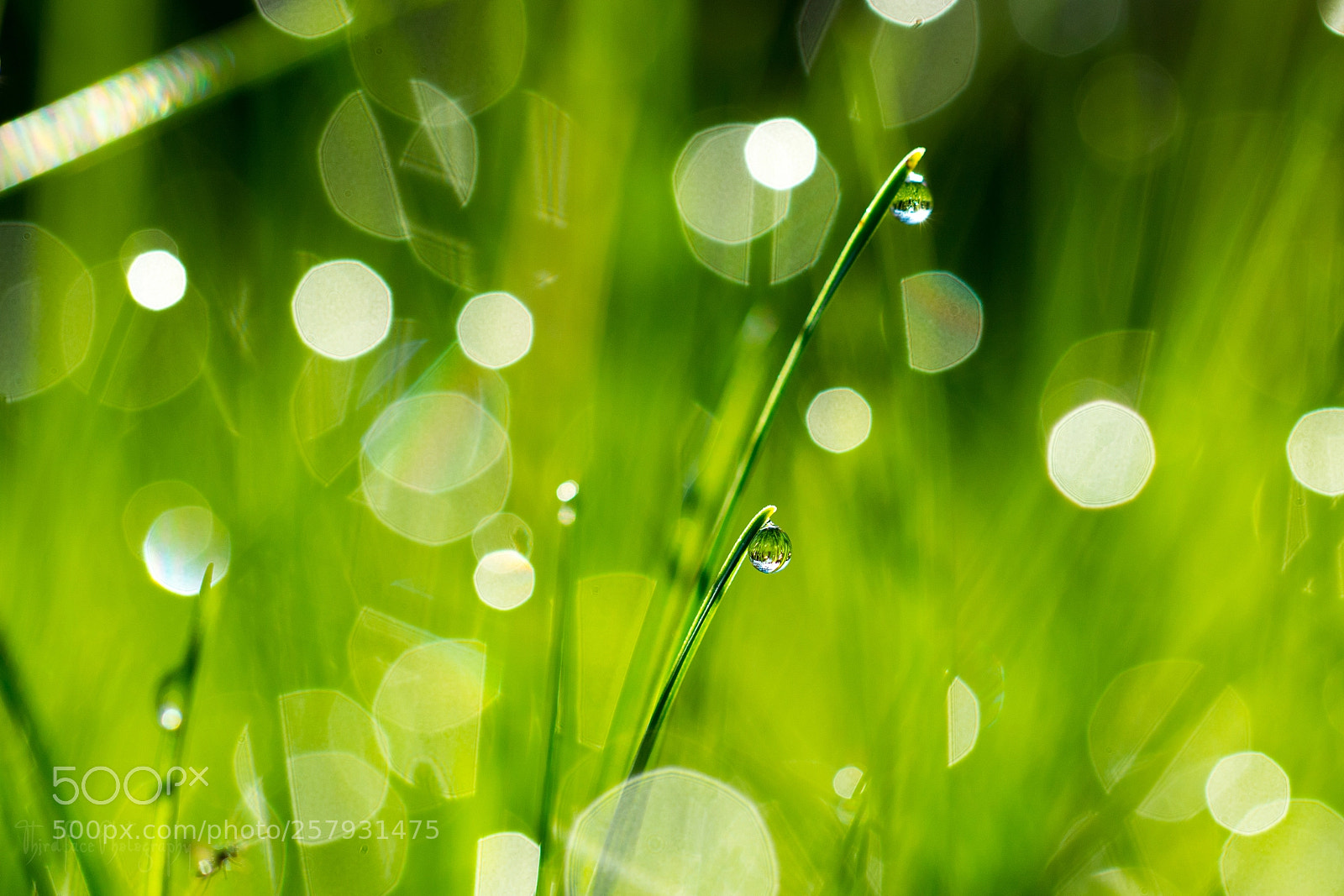 Nikon D7100 sample photo. Emerald and diamonds photography