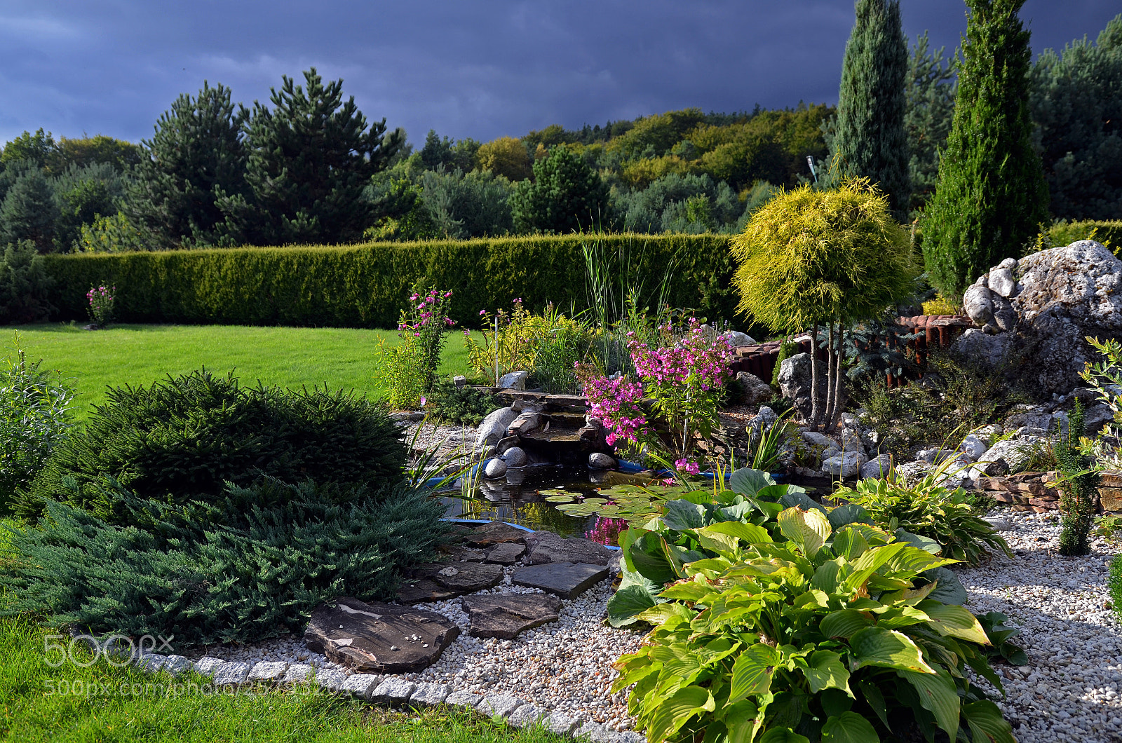 Nikon D5100 sample photo. Garden photography