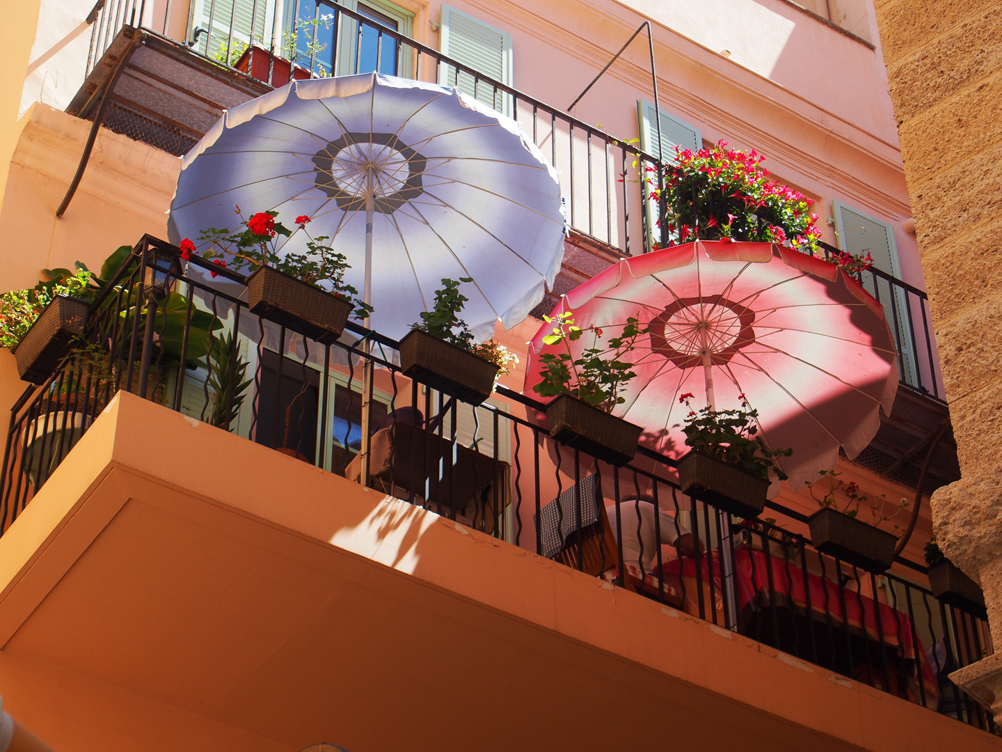 Olympus PEN E-PL5 sample photo. A pair photography
