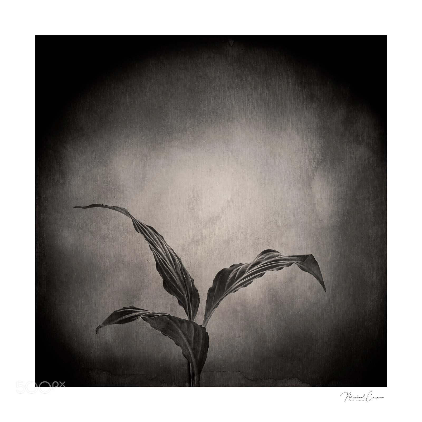 Canon EOS 5D Mark IV sample photo. Pinhole photography