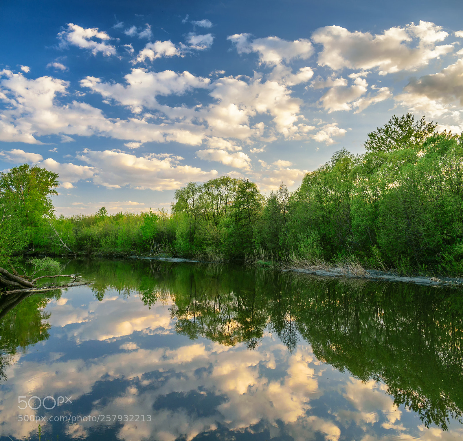 Nikon D5300 sample photo. River side, sky with photography