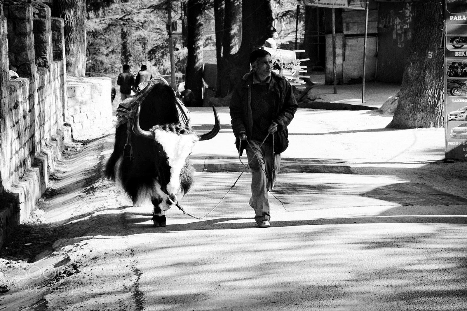 Nikon D5300 sample photo. Dependents photography