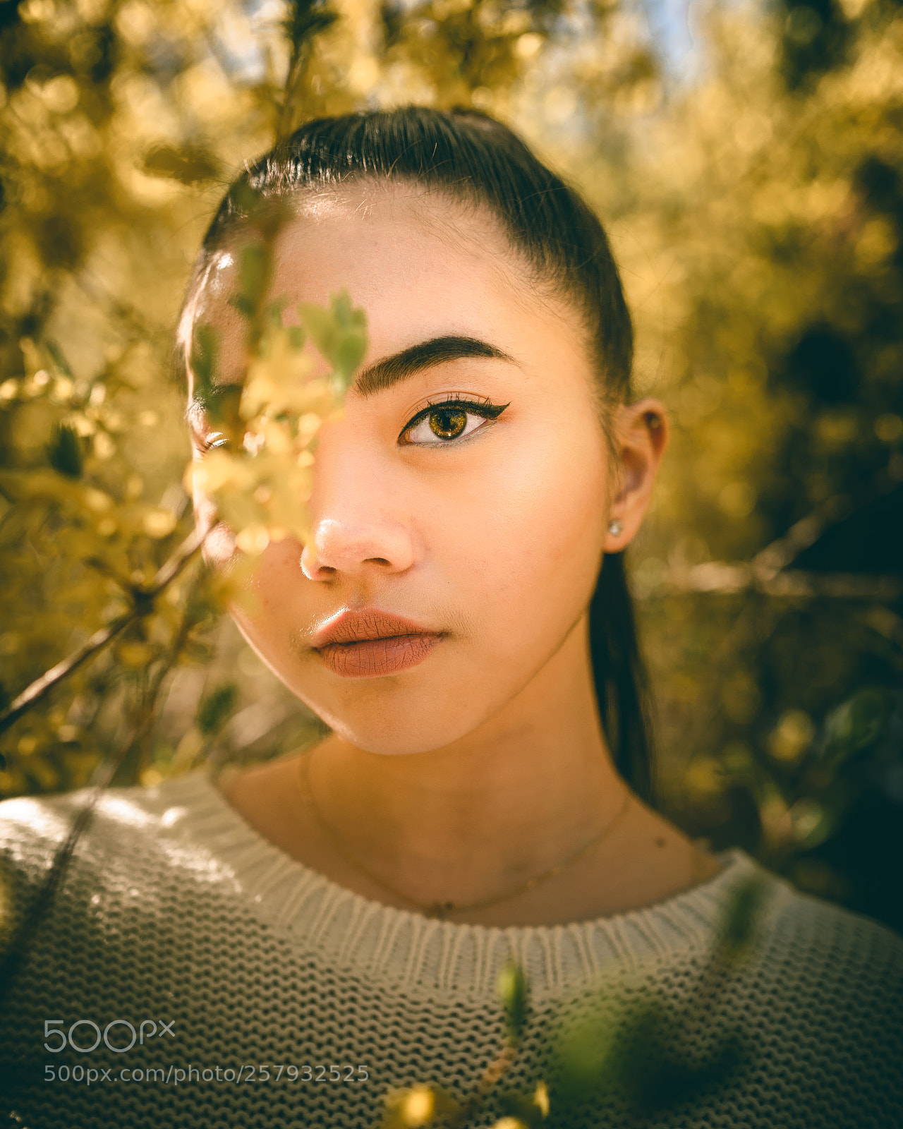 Nikon D610 sample photo. Spring days photography