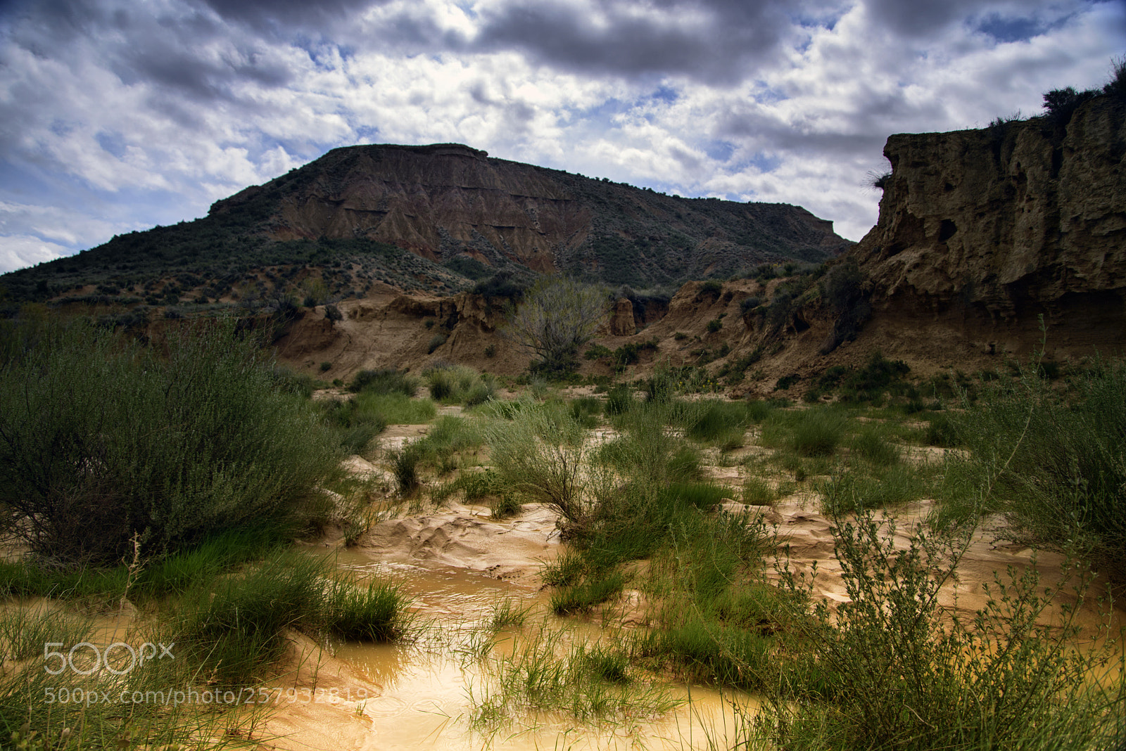 Nikon D610 sample photo. Spring water photography