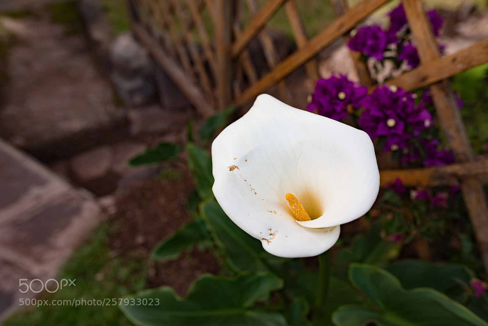 Nikon D750 sample photo. Spanish church photography
