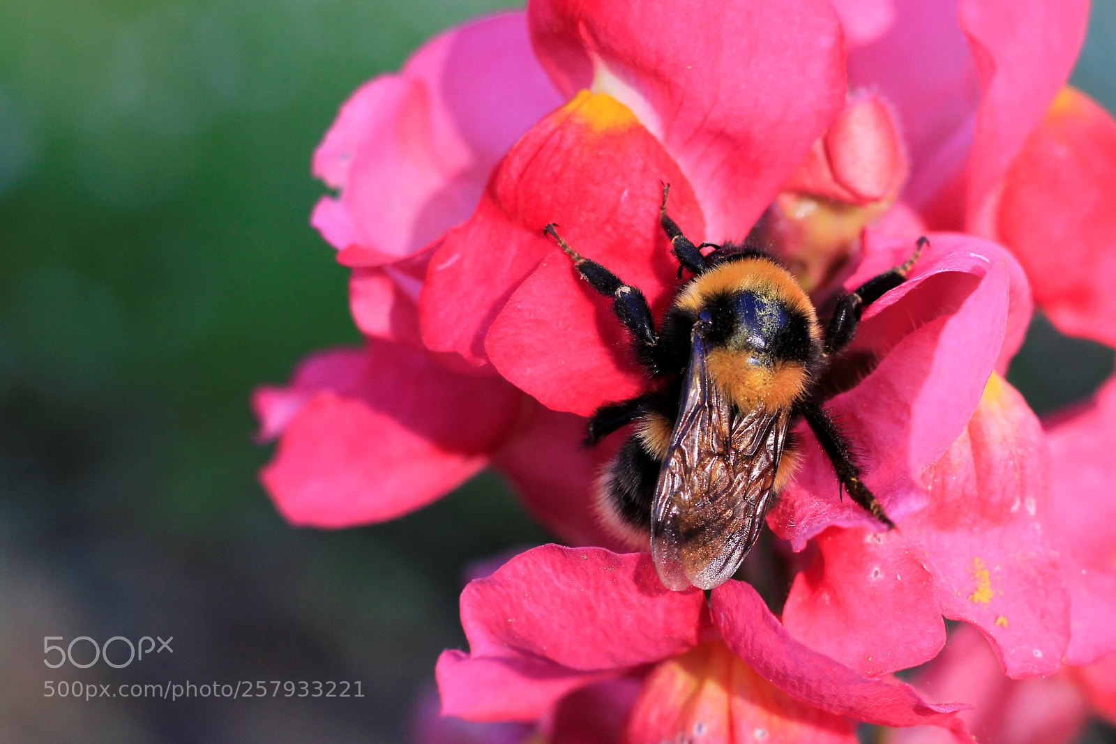 Canon EOS 60D sample photo. Difficile de trouver l'entr photography