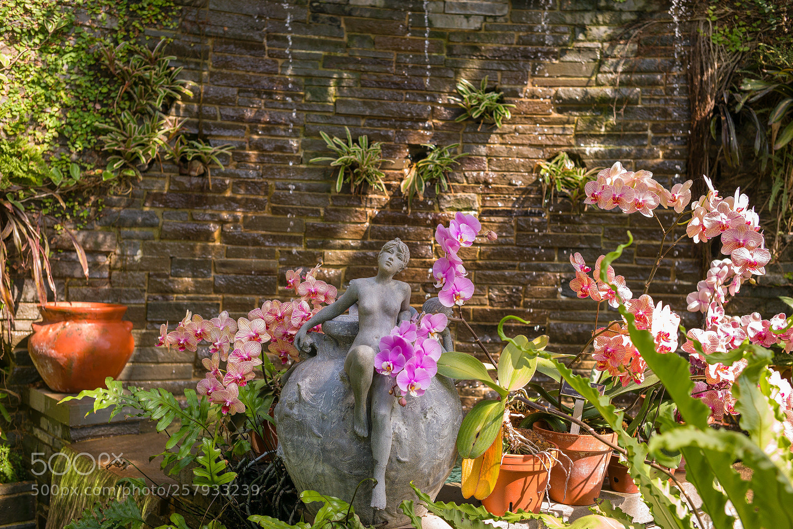 Leica M (Typ 240) sample photo. Ginter park photography