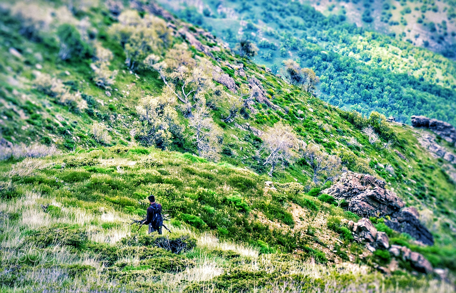 Nikon D7000 sample photo. Untitled photography