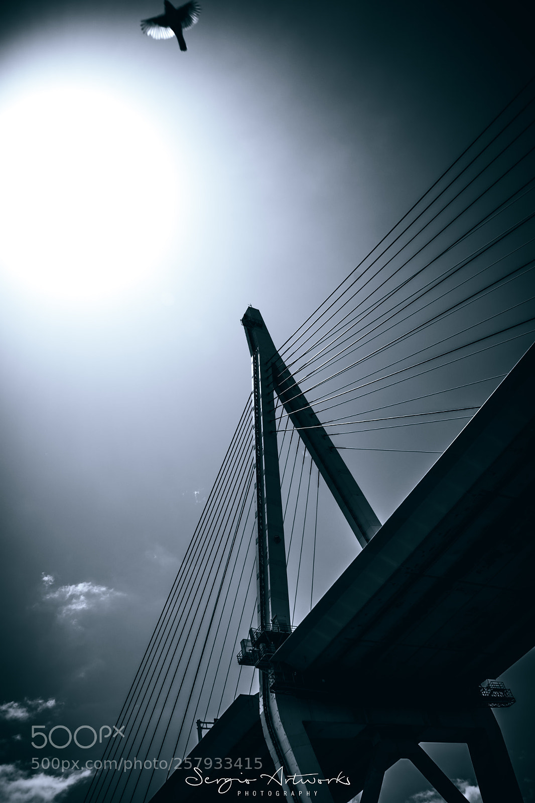 Sony a7 II sample photo. Sakurajima, osaka photography