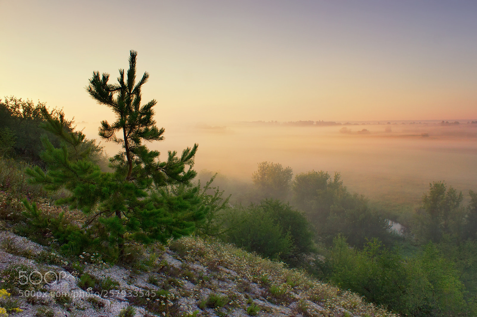 Canon EOS 550D (EOS Rebel T2i / EOS Kiss X4) sample photo. Dawn on chalk hill photography