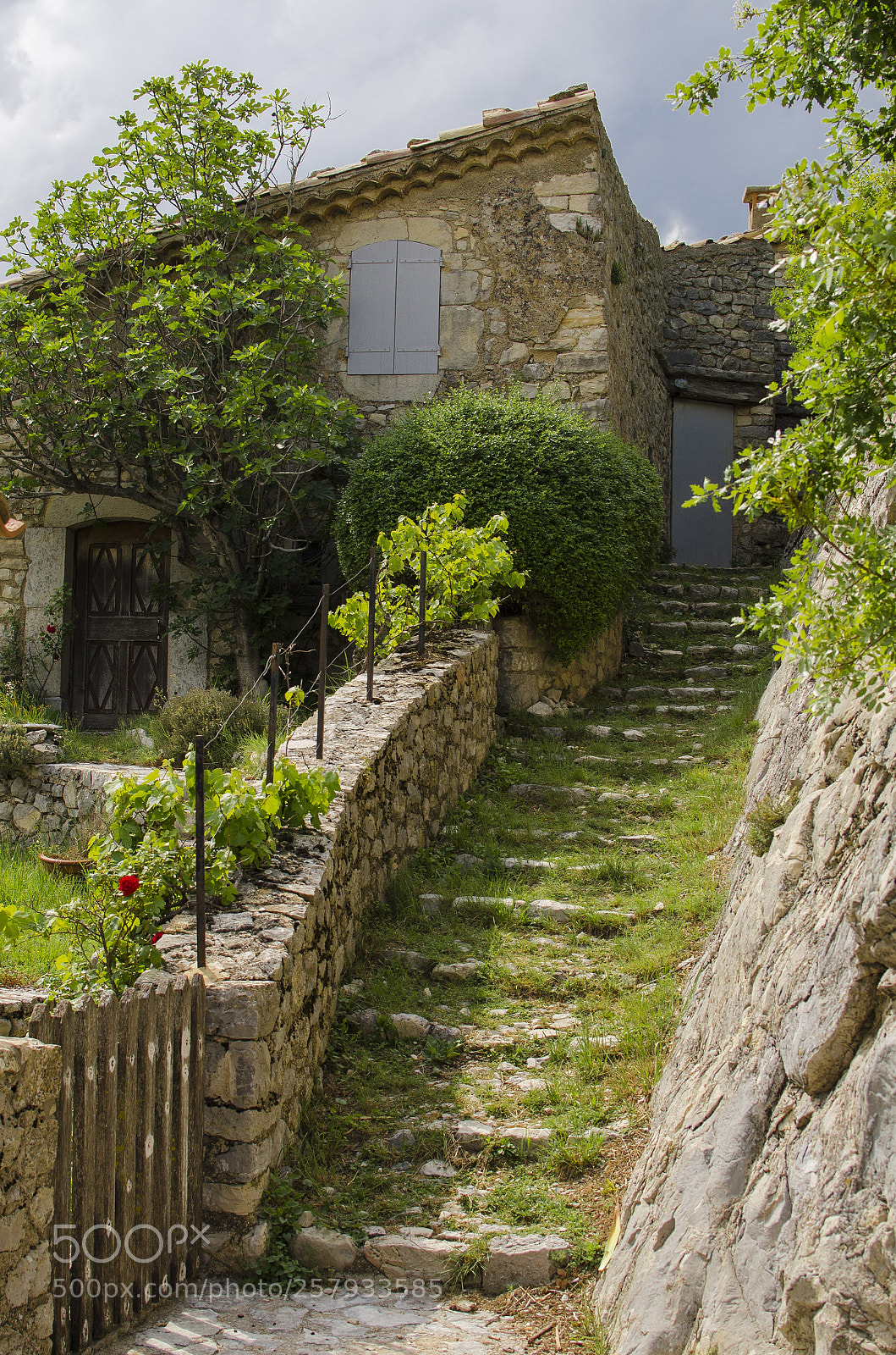 Nikon D7000 sample photo. Cours provencale photography