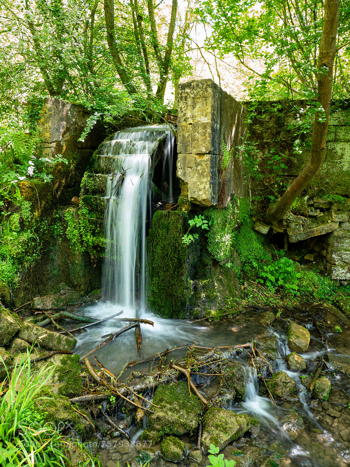 Olympus OM-D E-M1 Mark II sample photo. Water mill ruin. photography
