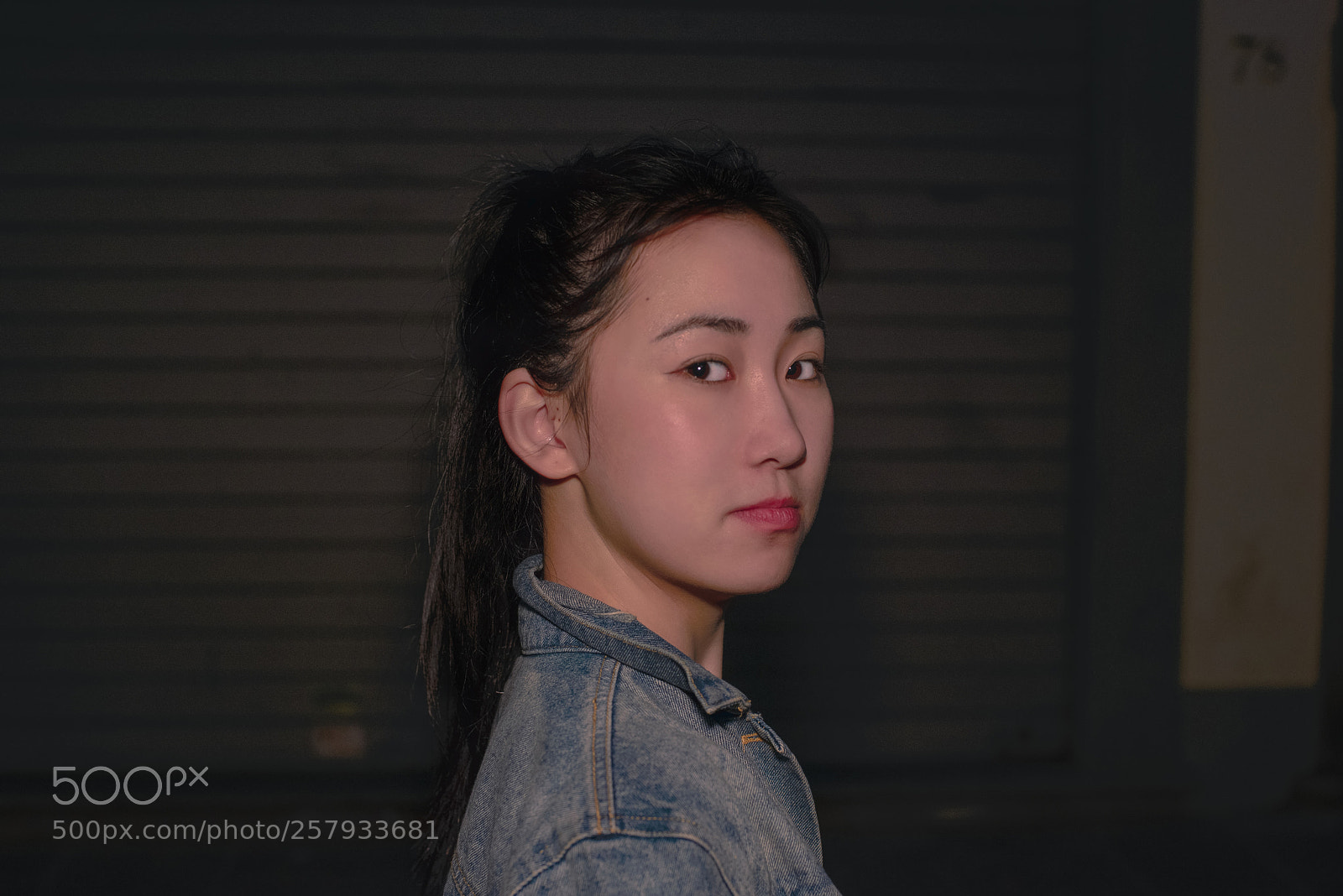 Nikon D610 sample photo. Untitled photography