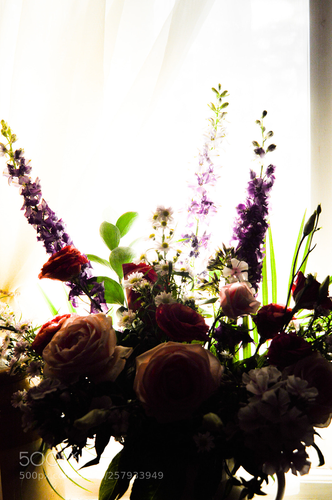 Nikon D3200 sample photo. Flowers in the window photography