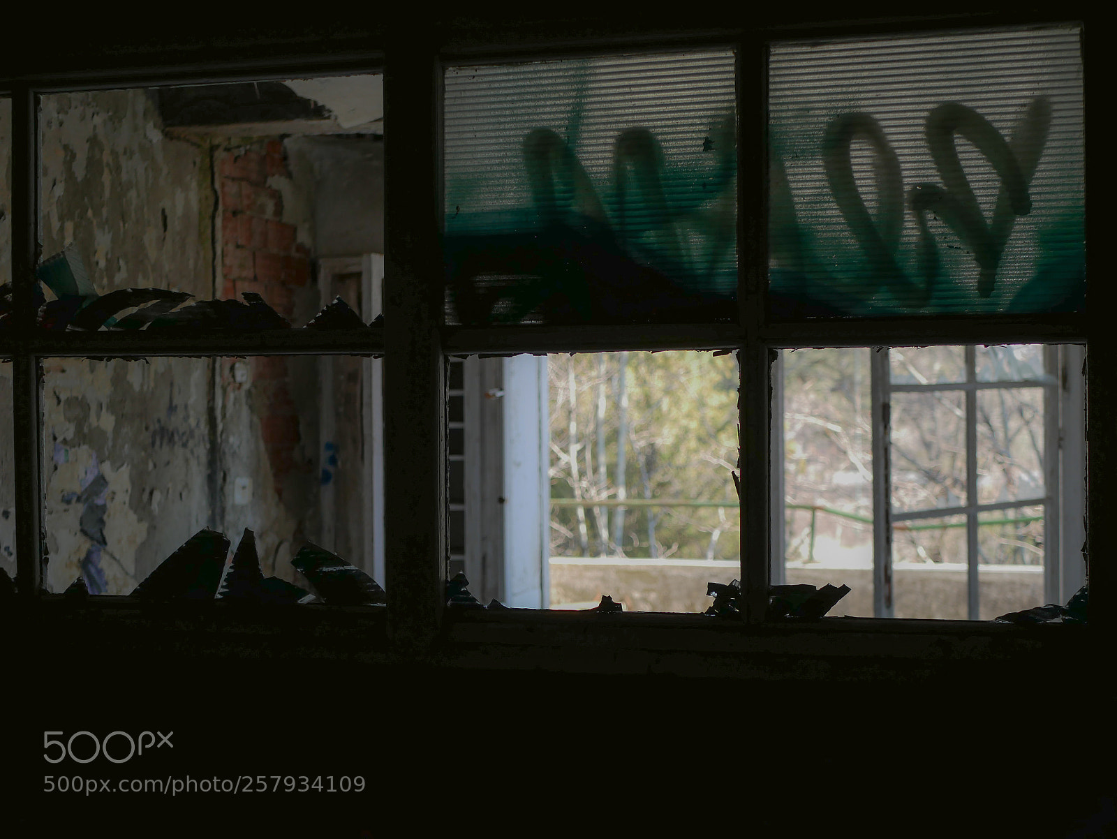 Panasonic Lumix DMC-GX85 (Lumix DMC-GX80 / Lumix DMC-GX7 Mark II) sample photo. P photography