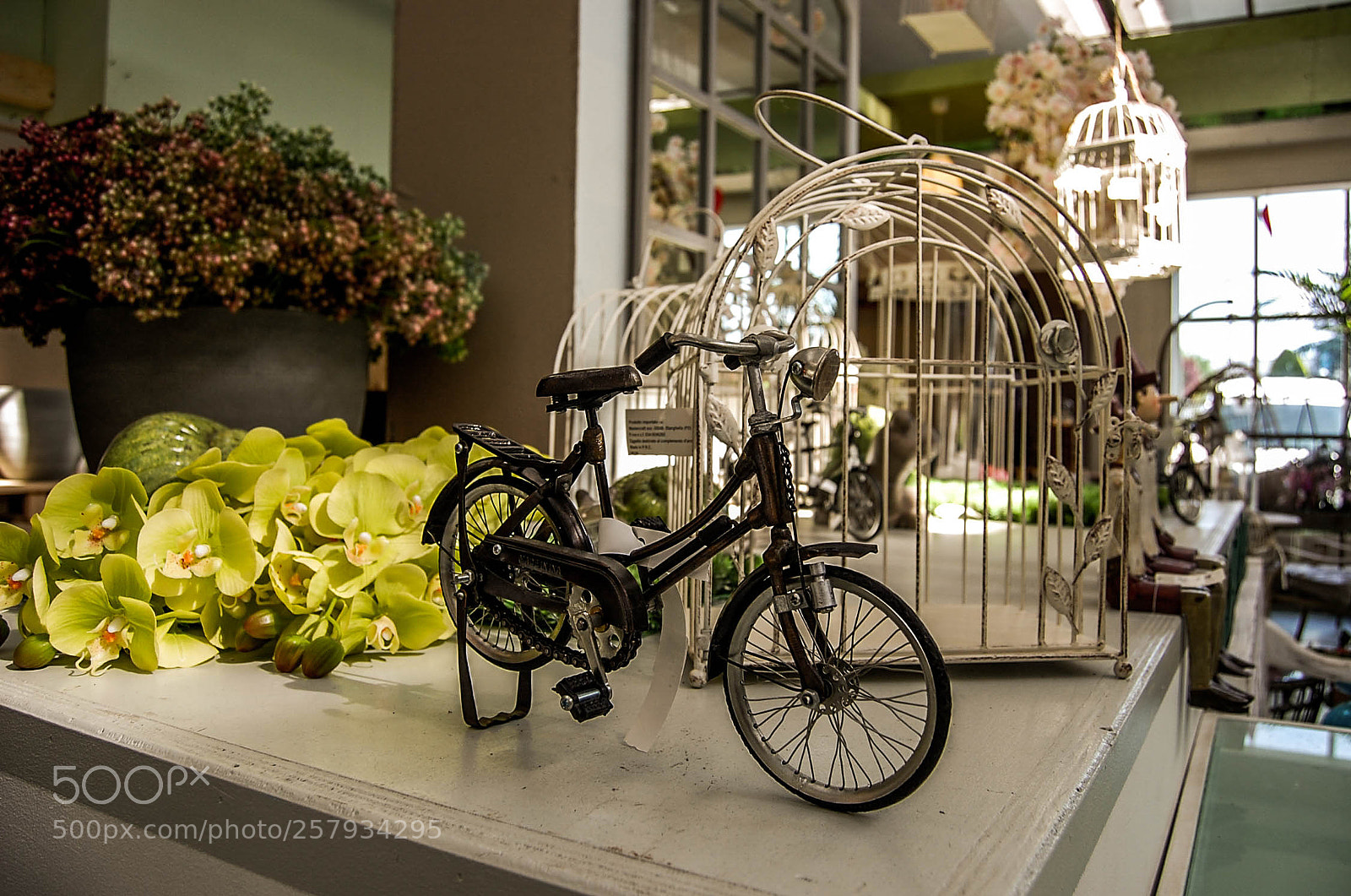 Nikon D40 sample photo. Bicycle photography