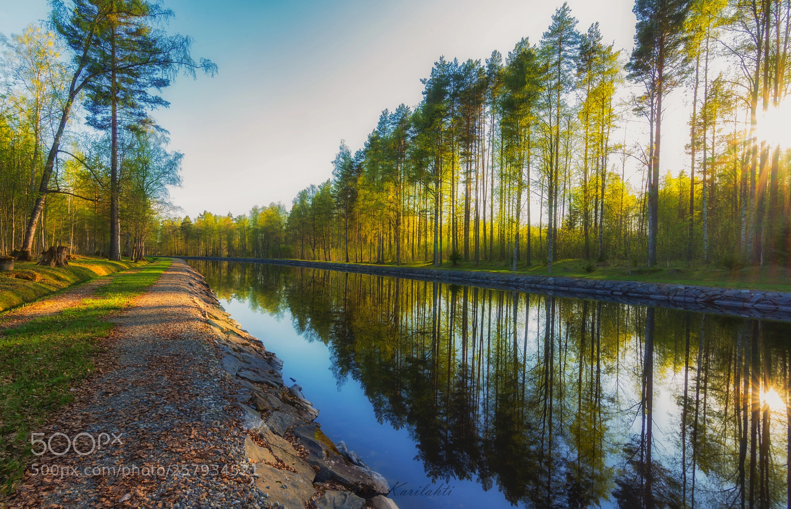 Nikon D600 sample photo. Spring mood photography