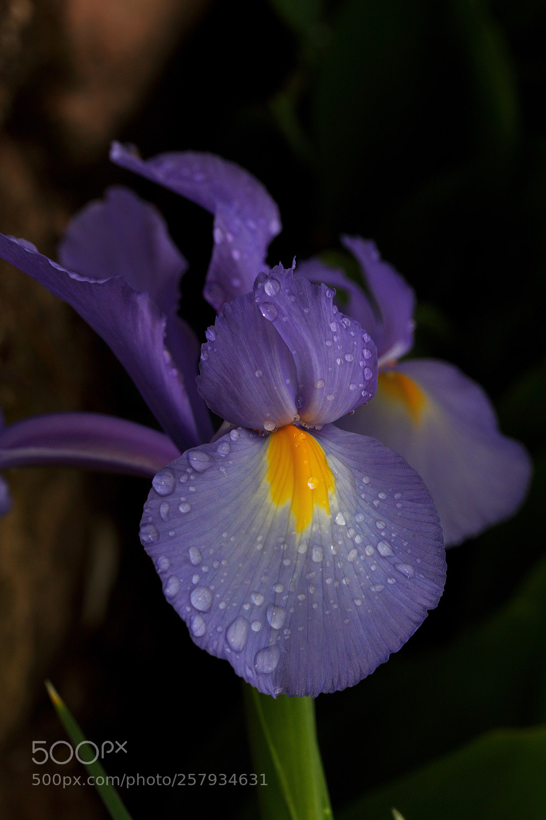 Canon EOS 7D sample photo. Untitled photography