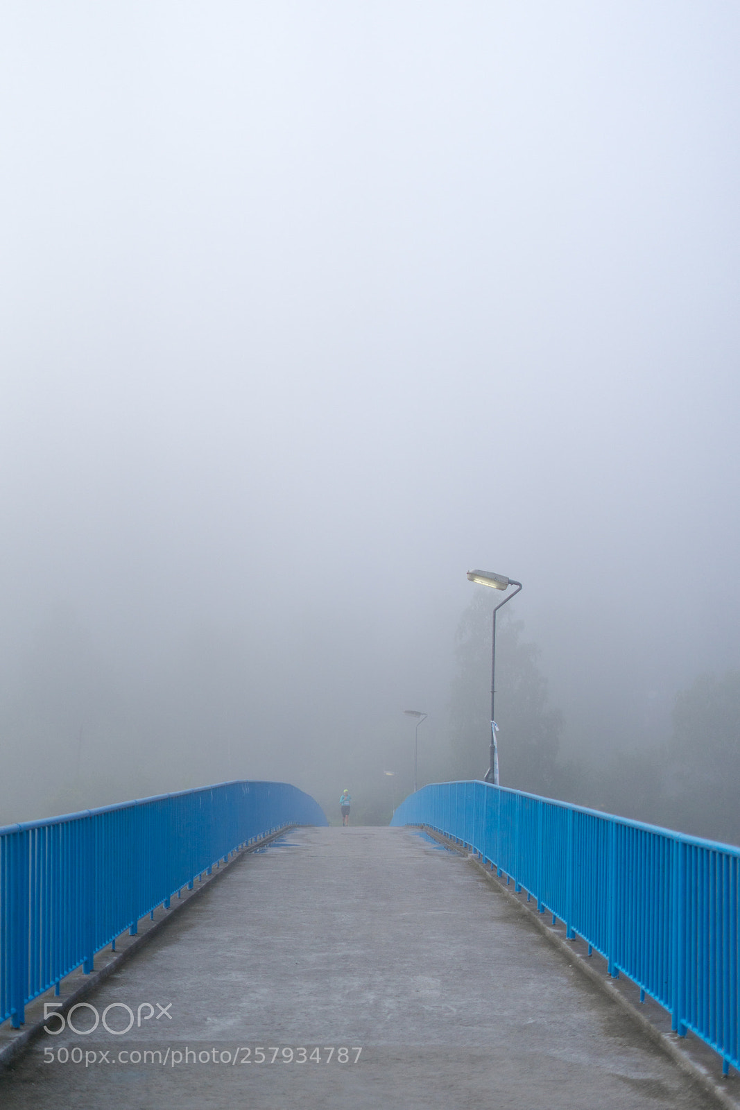 Sony a7 sample photo. A runner arriving to photography