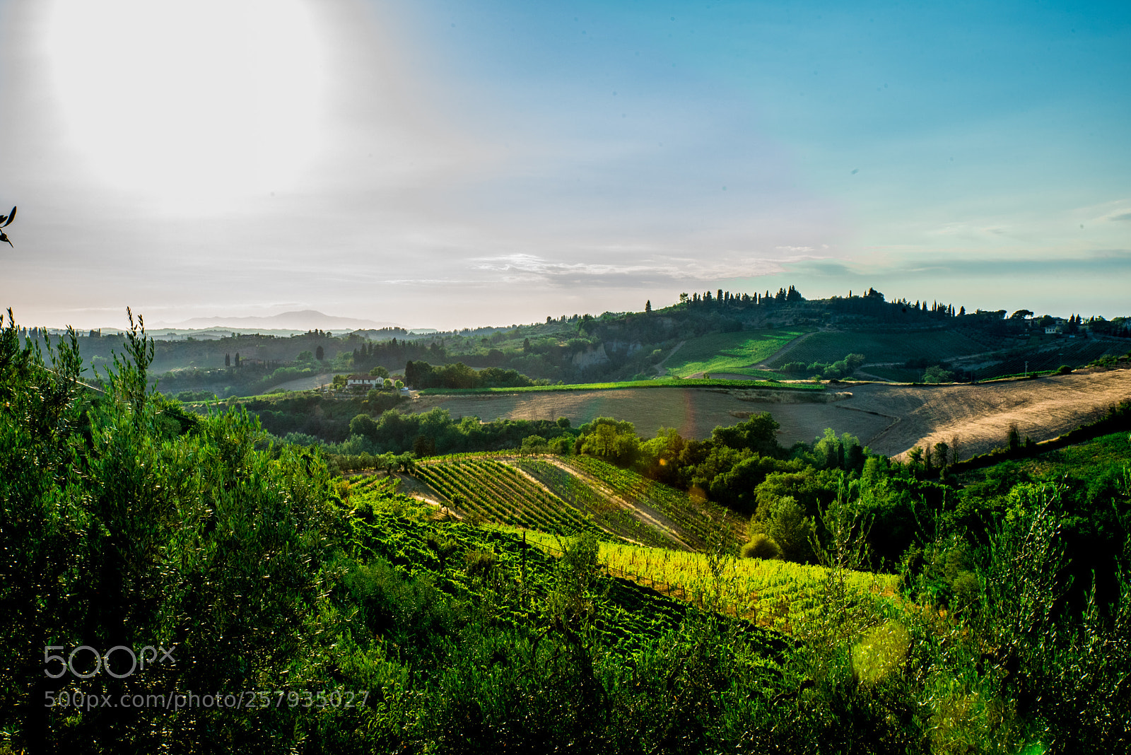 Nikon D750 sample photo. Sunny tuscan winevally photography
