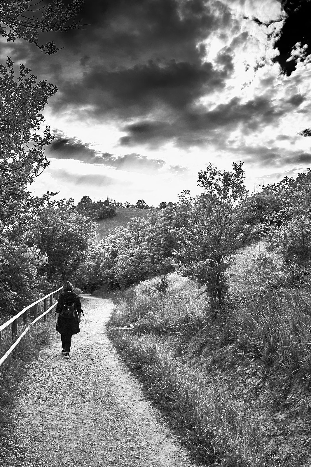 Canon EOS 650D (EOS Rebel T4i / EOS Kiss X6i) sample photo. Follow the pathway photography
