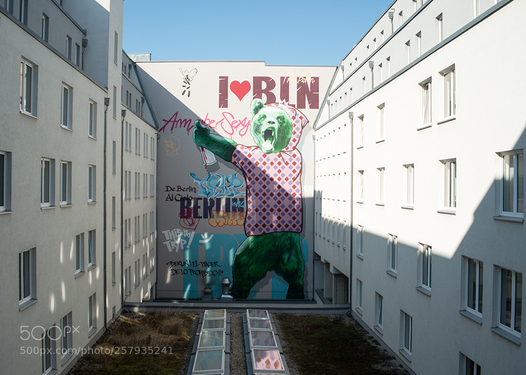 Nikon D800 sample photo. Graffiti bear photography