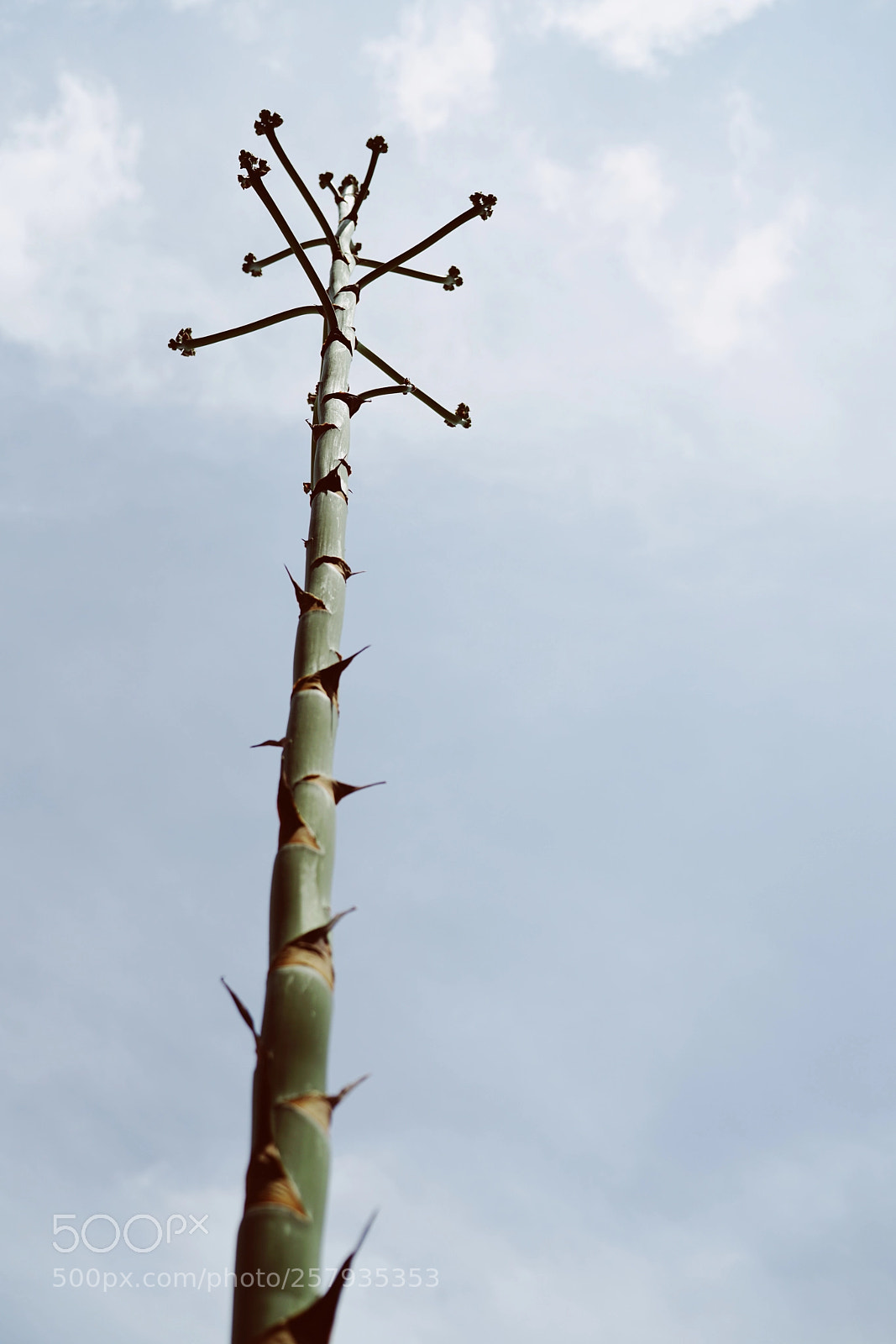 Sony a7R II sample photo. Texas cell tower  photography