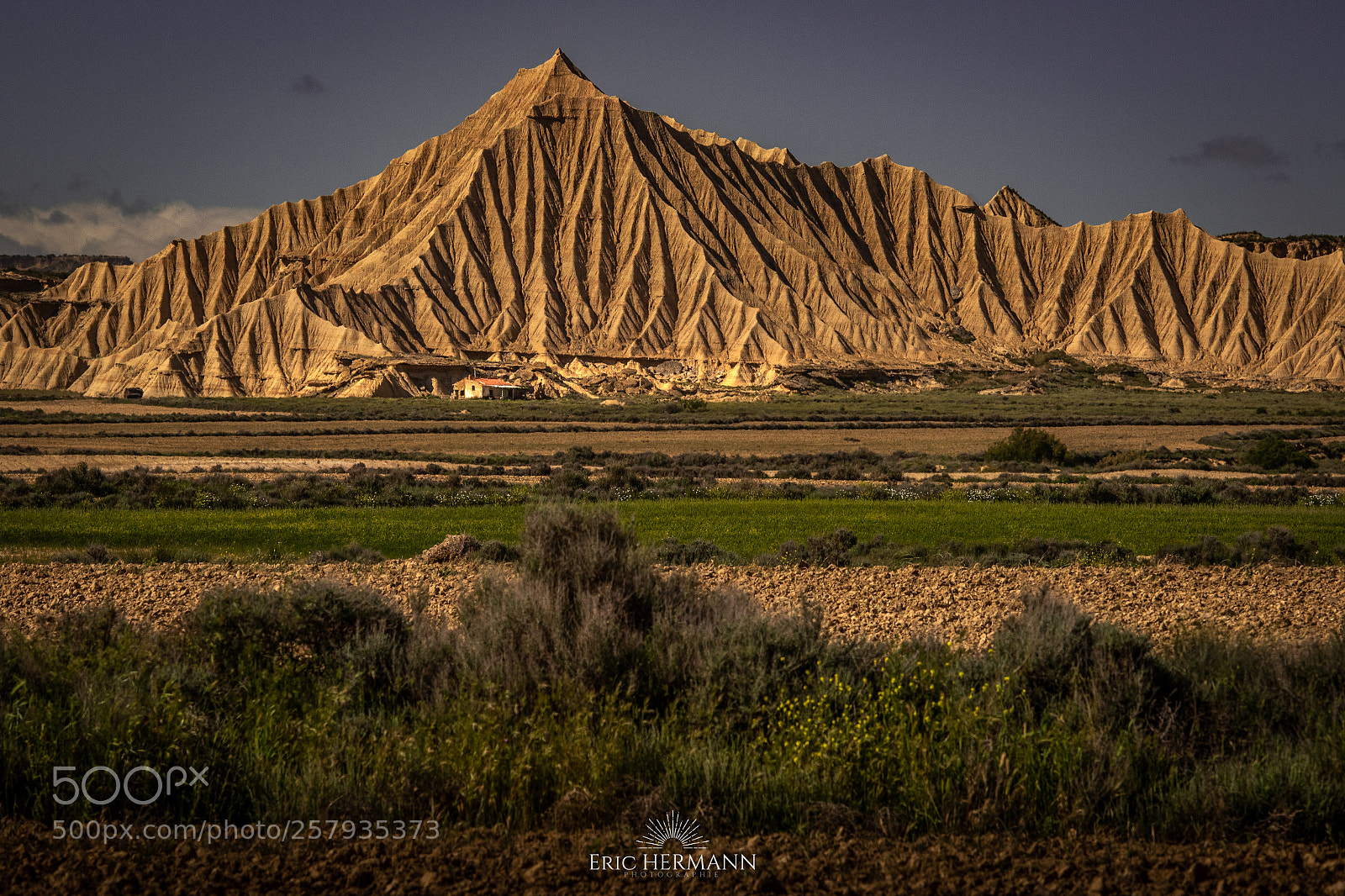 Canon EOS 7D Mark II sample photo. In don quixote's footsteps photography