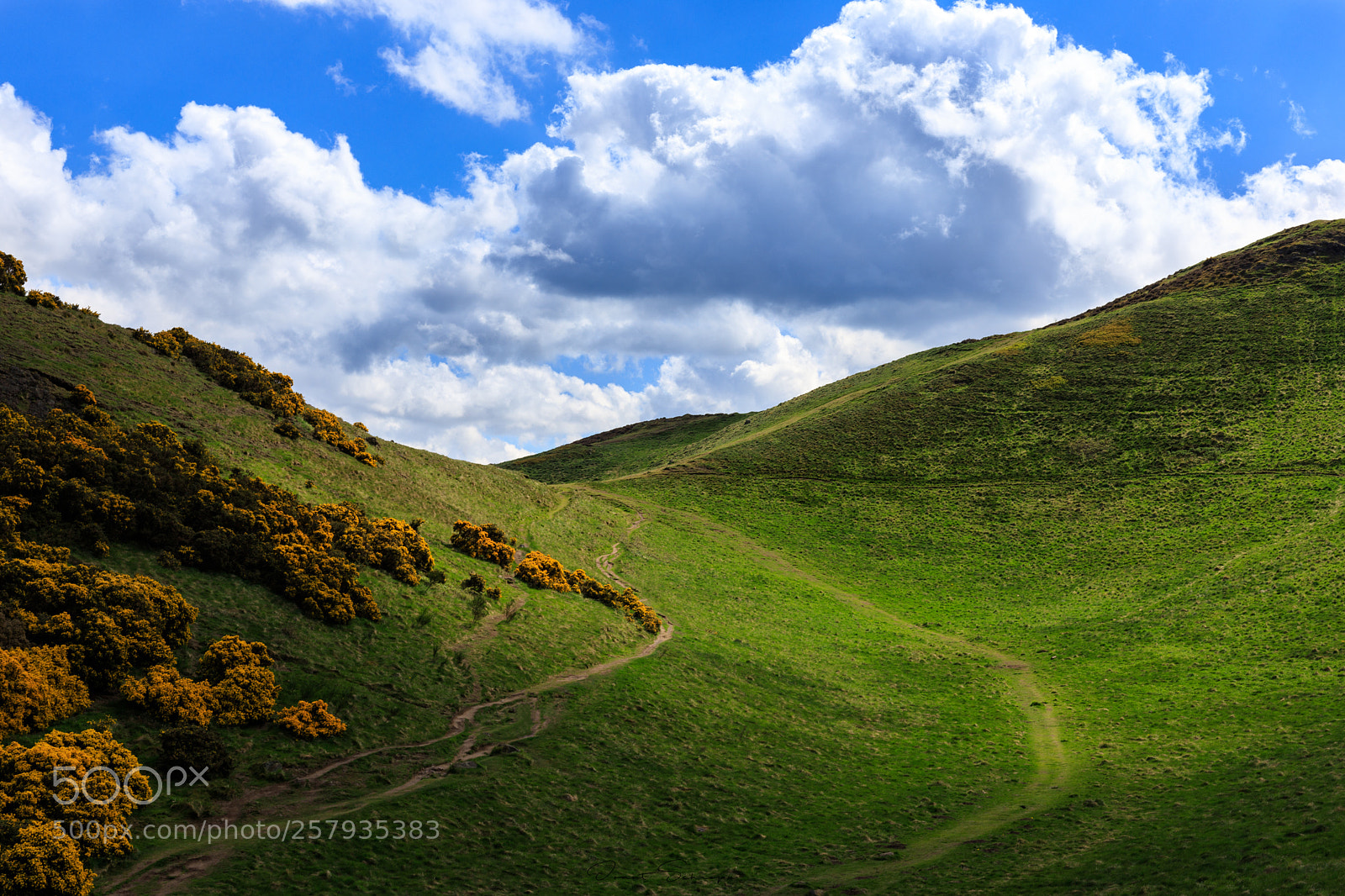 Canon EOS 6D Mark II sample photo. Arthur's seat photography