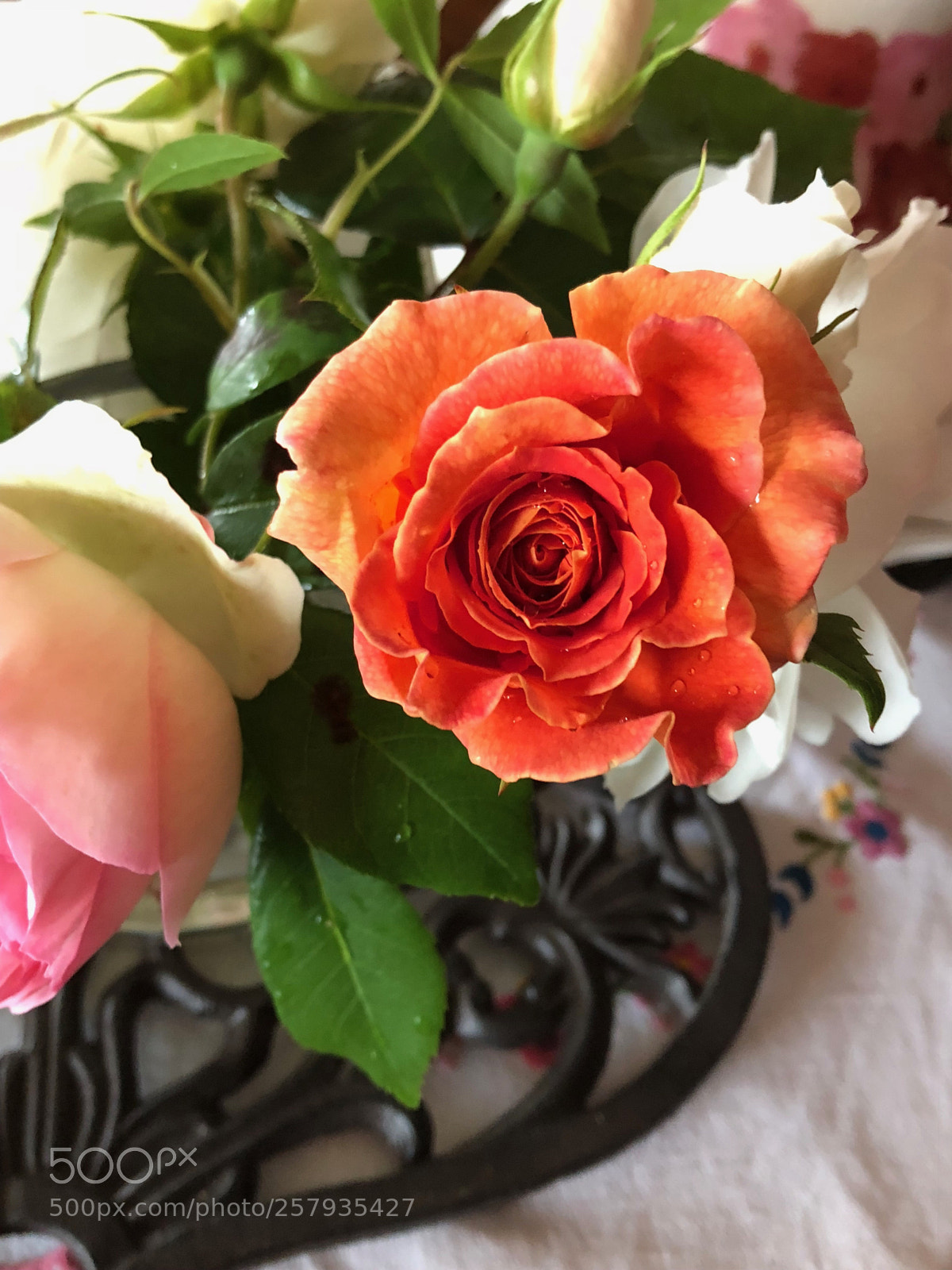 Apple iPhone 8 sample photo. Untitled photography