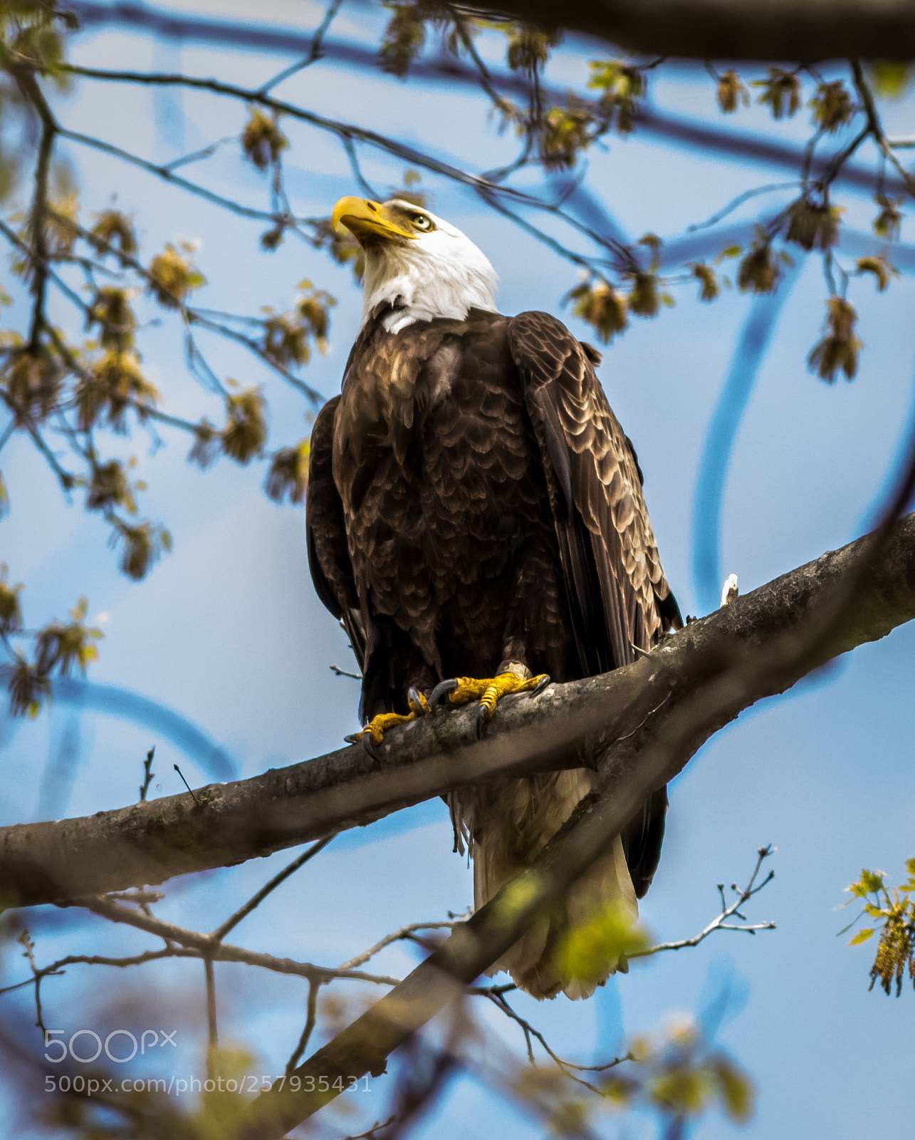Canon EOS 7D Mark II sample photo. 6171-6171.jpg photography