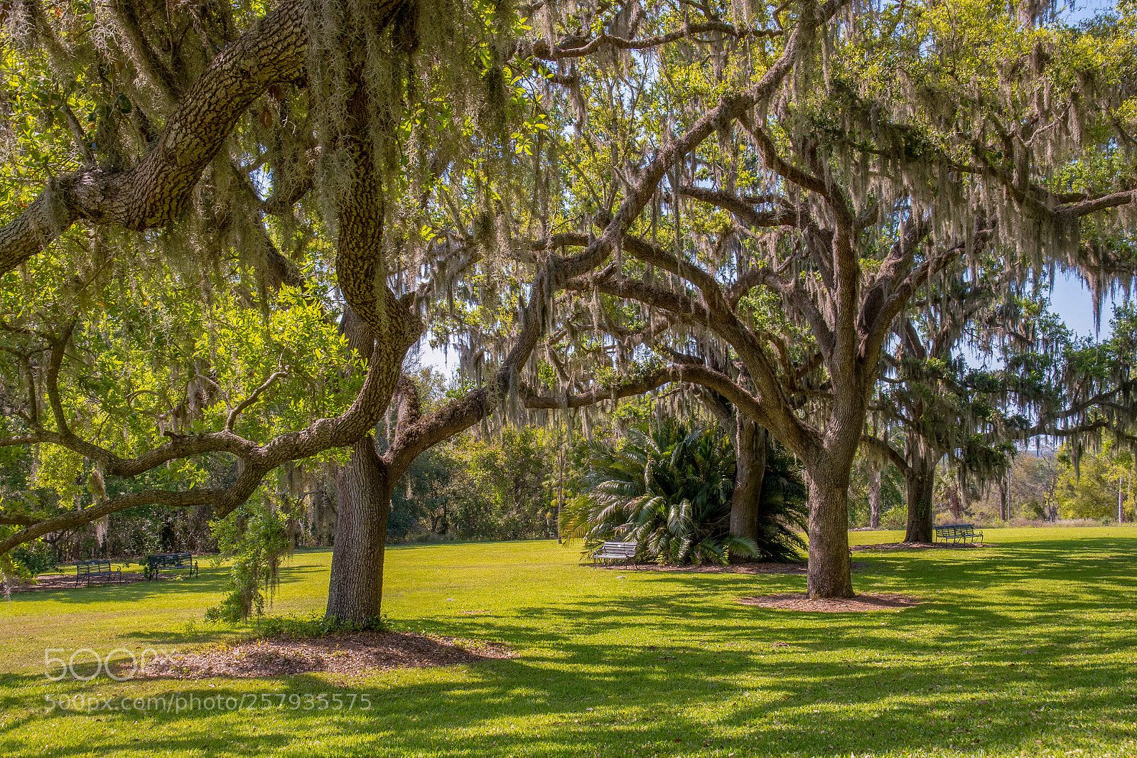 Nikon D810 sample photo. Untitled photography