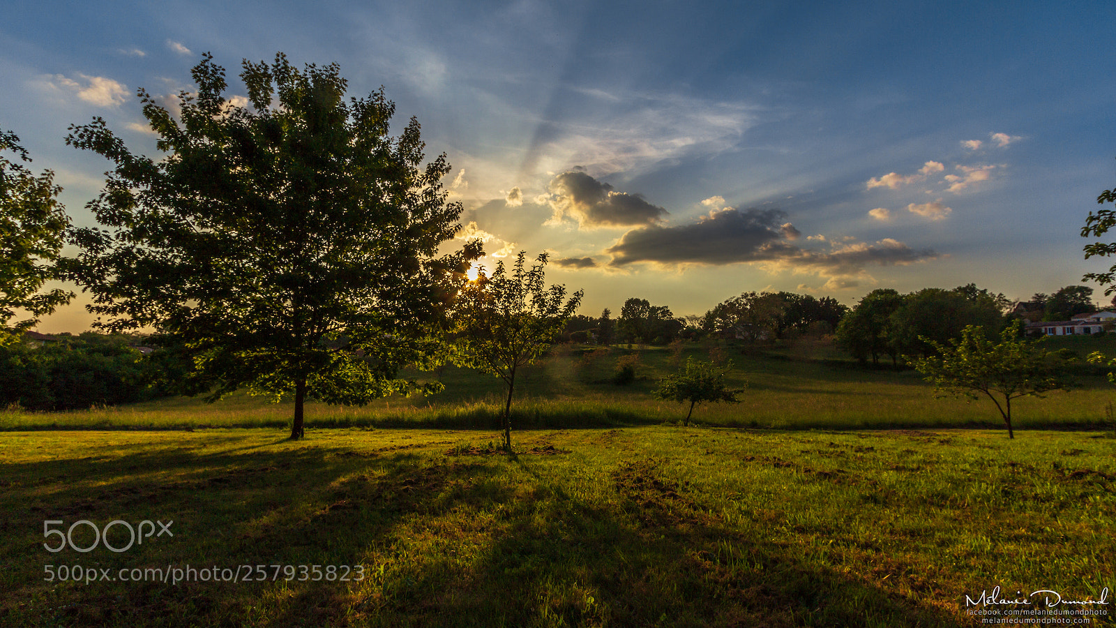 Canon EOS 600D (Rebel EOS T3i / EOS Kiss X5) sample photo. Coucher de soleil sur photography