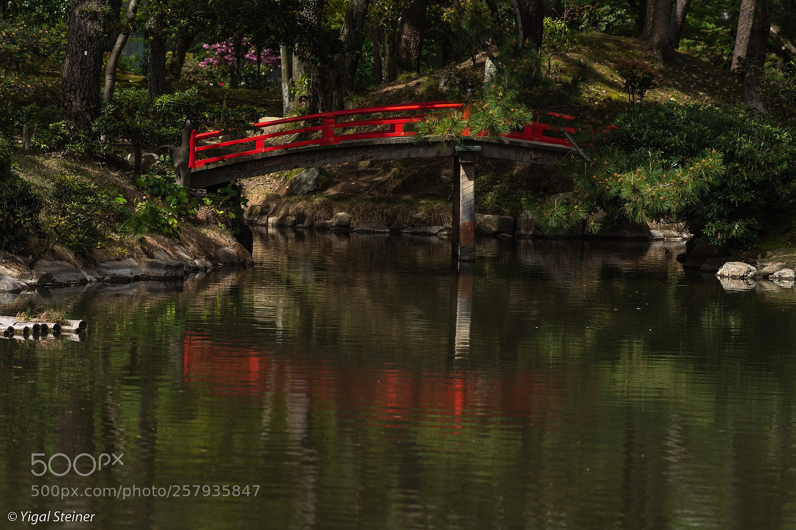 Sony a99 II sample photo. In a japanese garden photography